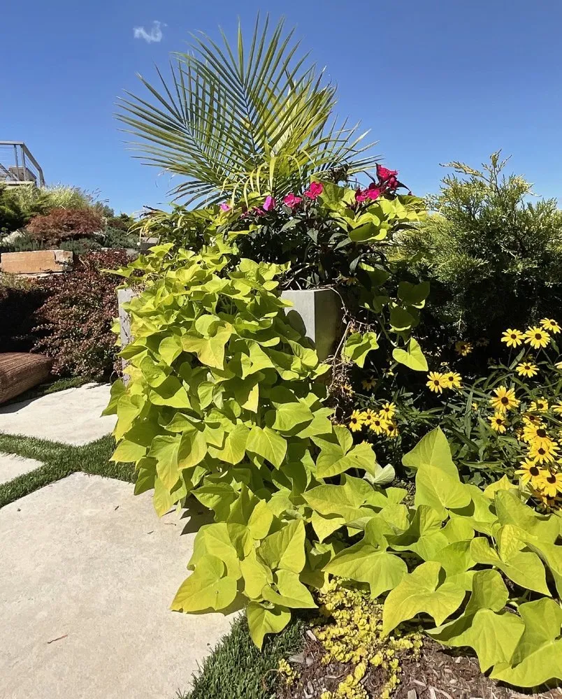 Custom yard cleanup service experts serving Woodstock, IL - Pinnacle Land Creations Inc