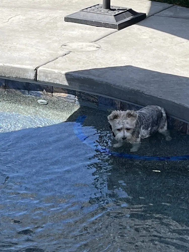 Expert outdoor landscaping in Elk Grove, CA - Pinnacle Landscape Development