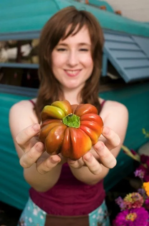 Local outdoor landscaping with custom design in Elk Grove, CA by Pinnacle Landscape Development