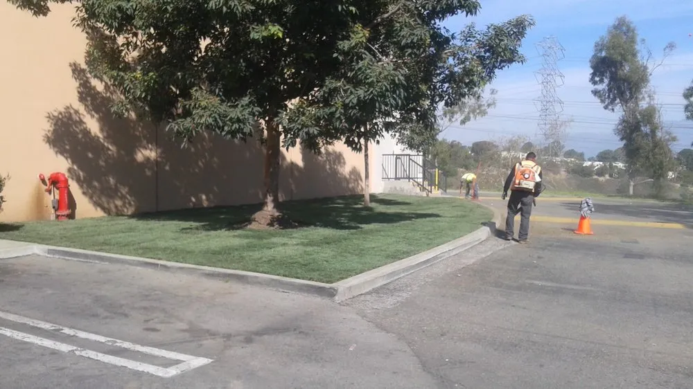 Professional yard maintenance in Santa Ana, CA by Pinnacle Landscape Management