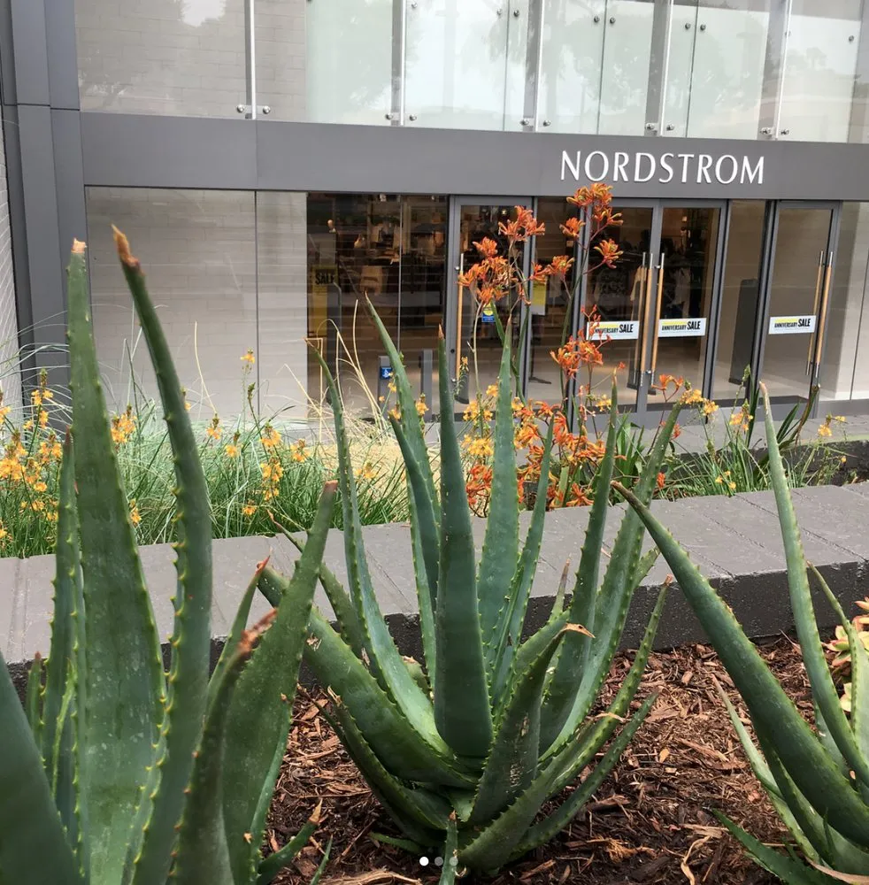 Local garden landscaping near you across Santa Ana, CA - Pinnacle Landscape Management