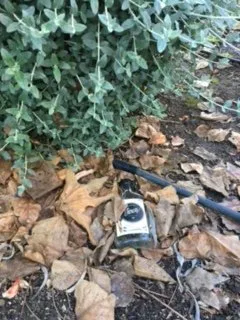 Professional landscaping services in Santa Ana, CA by Pinnacle Landscape Management