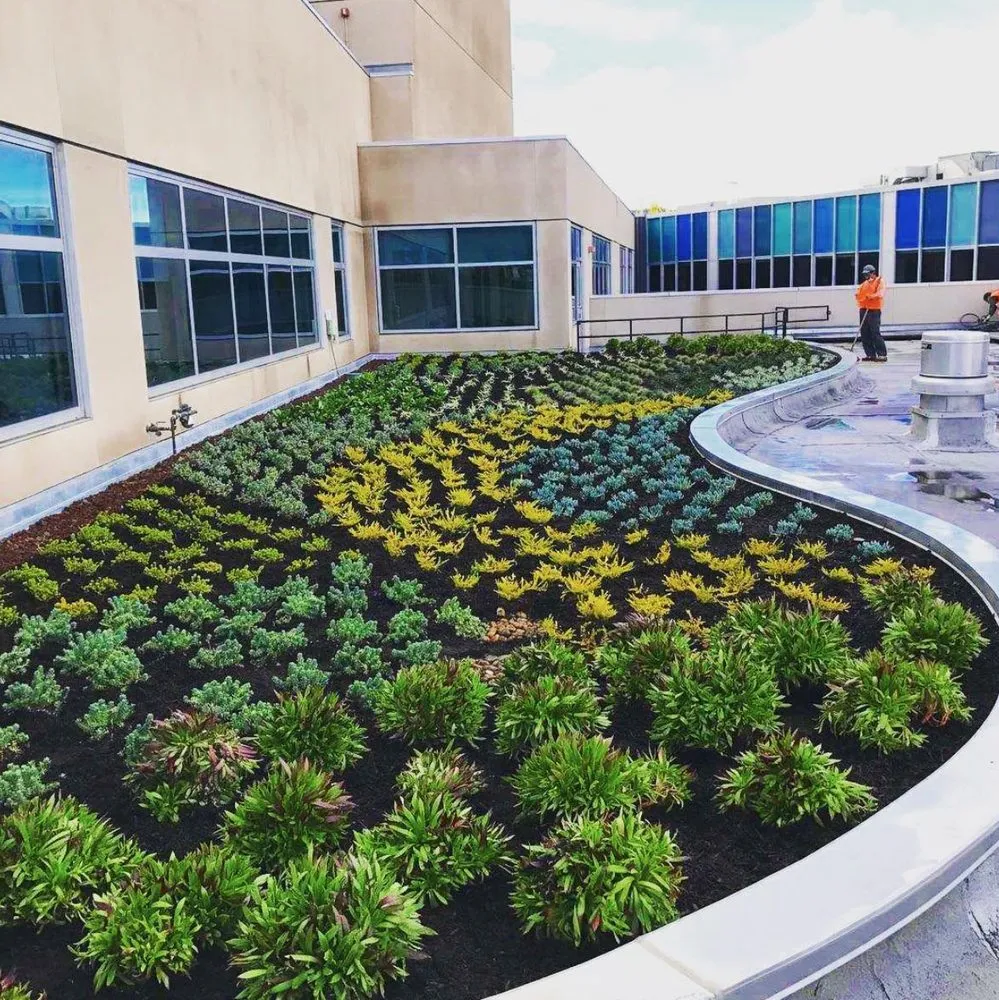 Expert landscape design in Santa Ana, CA by Pinnacle Landscape Management