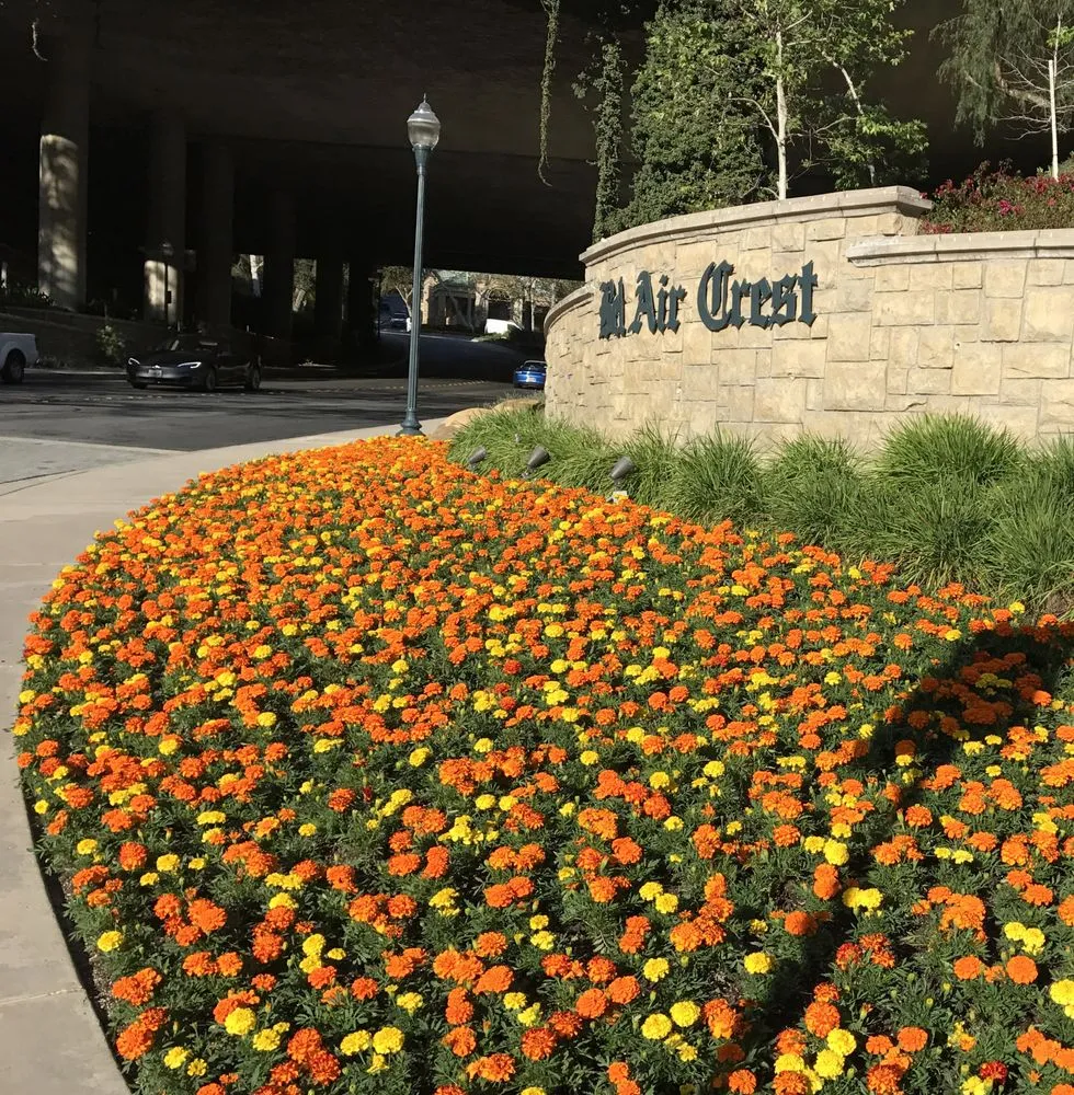 Local lawn mowing service in Santa Ana, CA - Pinnacle Landscape Management