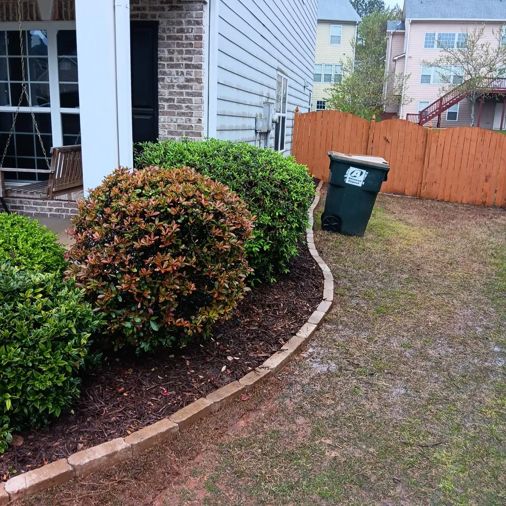 Local yard cleanup service experts serving Demorest, GA - Pinnacle Landscape Solutions