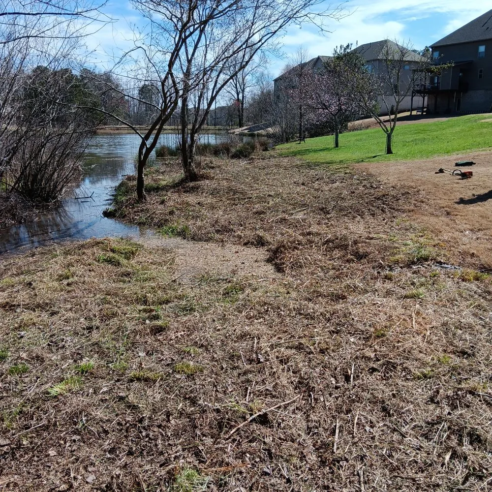 Custom outdoor landscaping experts serving Demorest, GA - Pinnacle Landscape Solutions