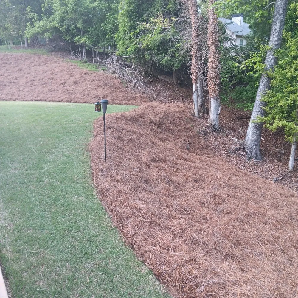 Top-rated landscape installation for beautiful yards across Demorest, GA - Pinnacle Landscape Solutions