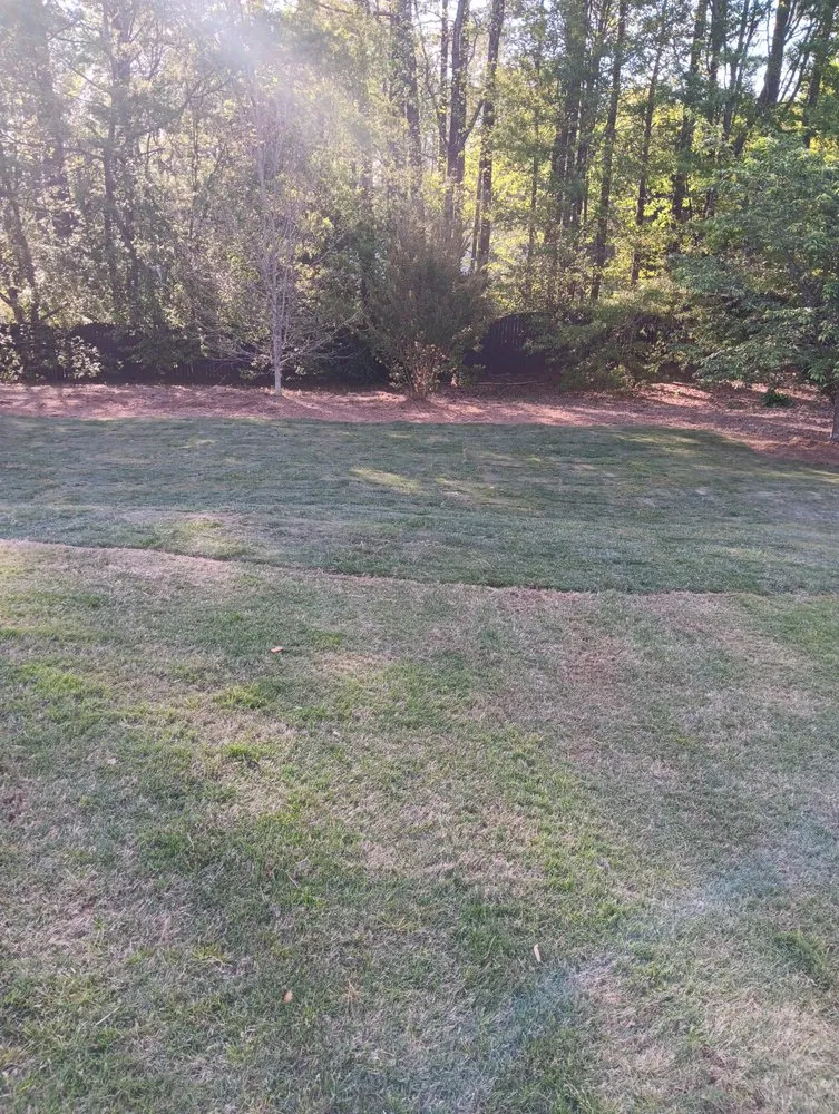 Top-rated garden landscaping for homes across Demorest, GA - Pinnacle Landscape Solutions