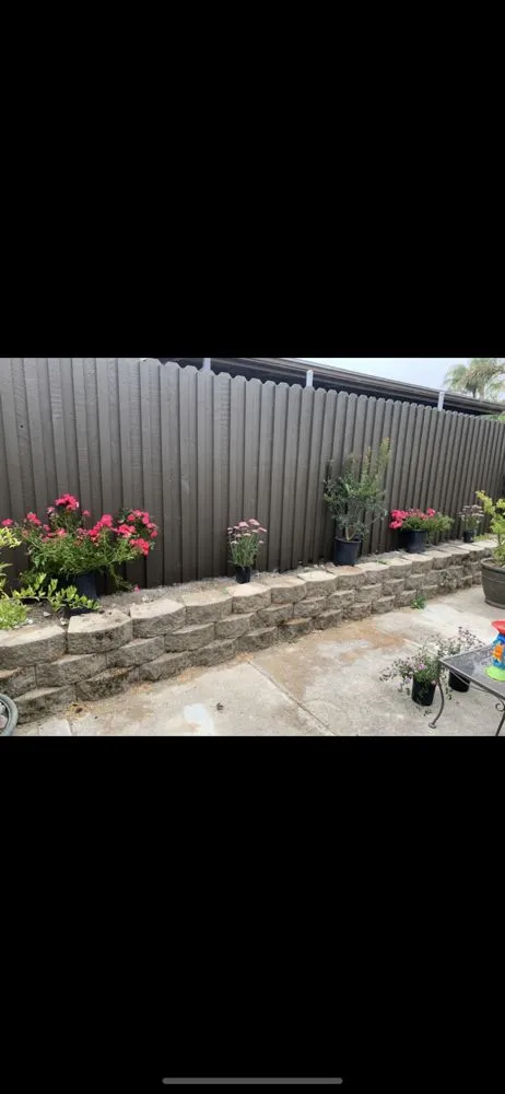 Professional yard cleanup service in Hollister, CA by Pinnacle Landscapes