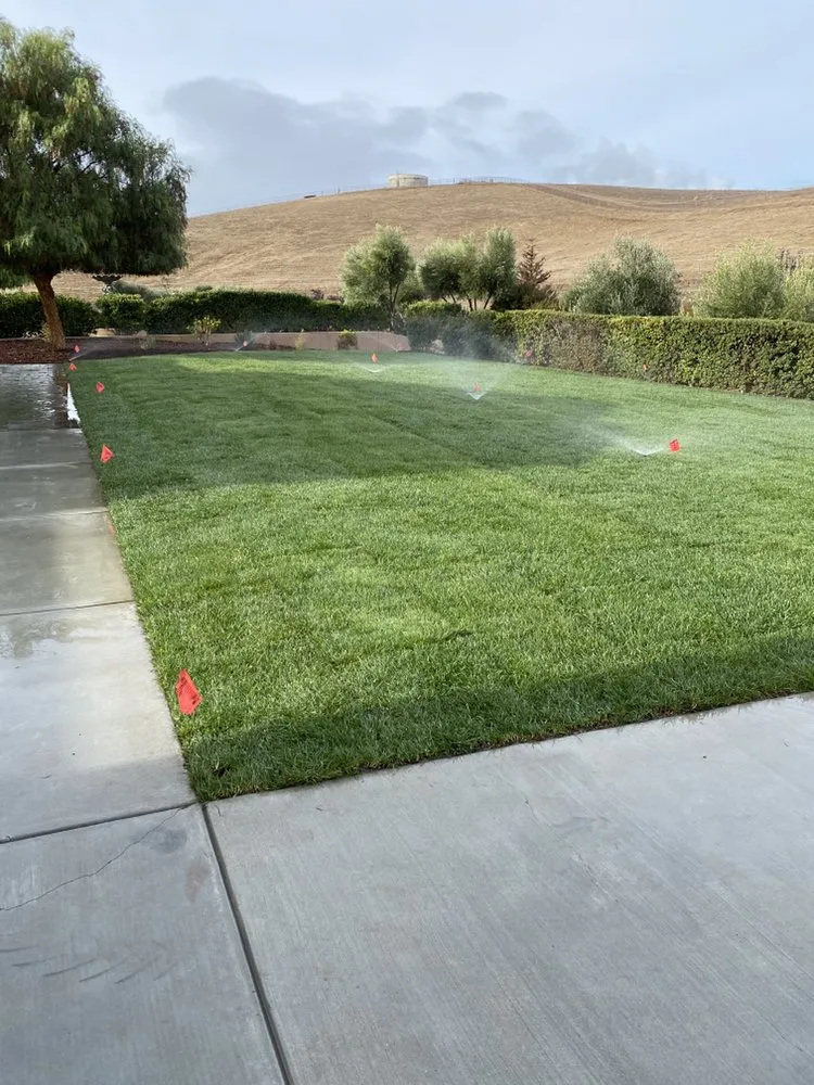Local yard cleanup service in Hollister, CA - Pinnacle Landscapes