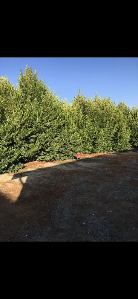 Reliable outdoor landscaping in Hollister, CA - Pinnacle Landscapes