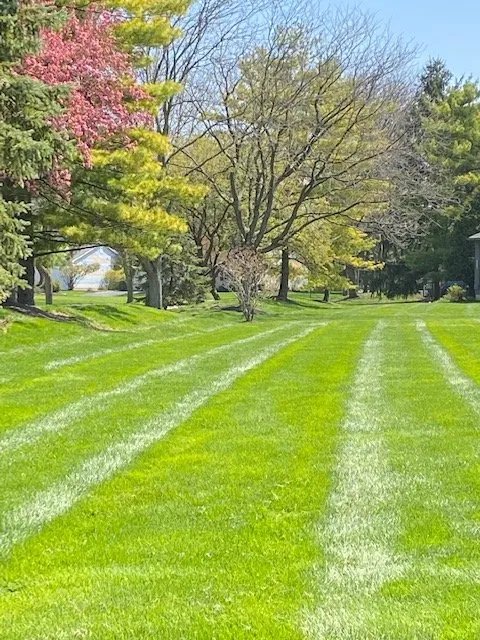 Reliable outdoor landscaping in Columbus, OH by Pinnacle Landscaping