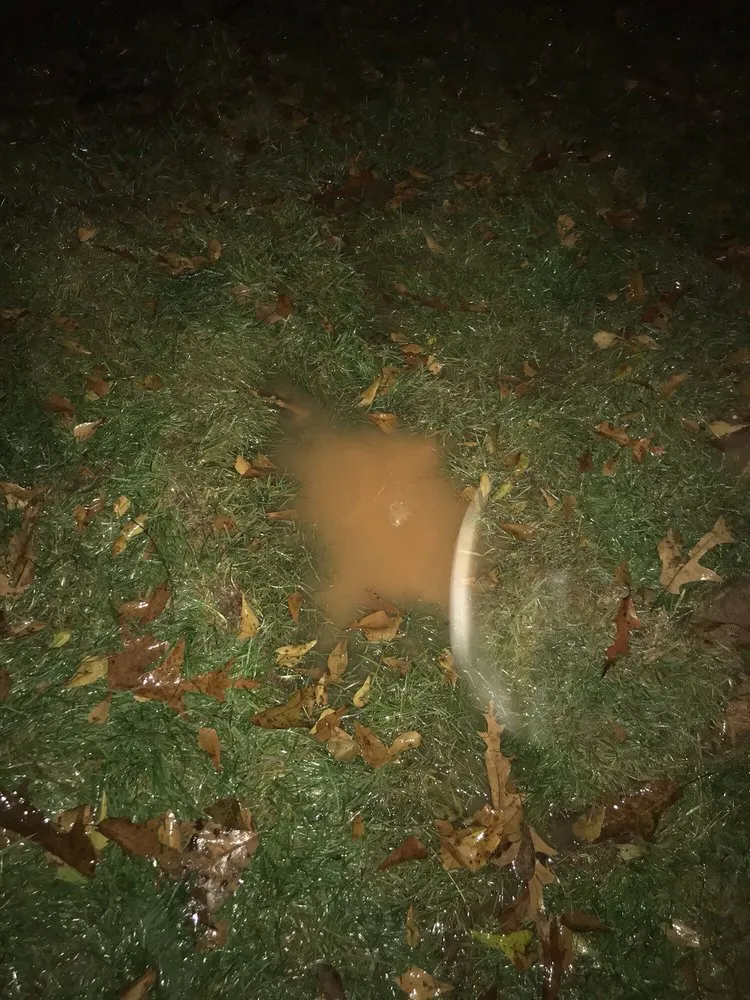 Affordable landscape design experts serving Lawrenceville, GA - Pinnacle Landscaping