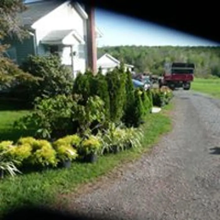 Professional landscape installation for homes in Moscow, PA by Pinnacle Landscaping