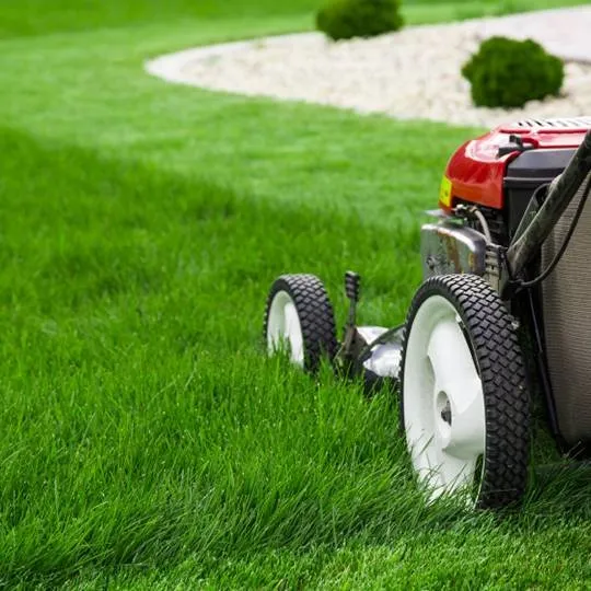 Reliable outdoor landscaping for year-round maintenance across Colorado Springs, CO - Pinnacle Lawn & Landscape