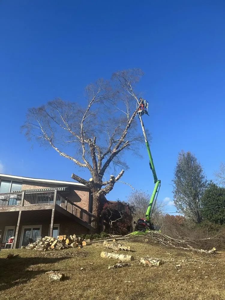 Top-rated landscape installation in Pigeon Forge, TN by Pinnacle Lawn & Landscape