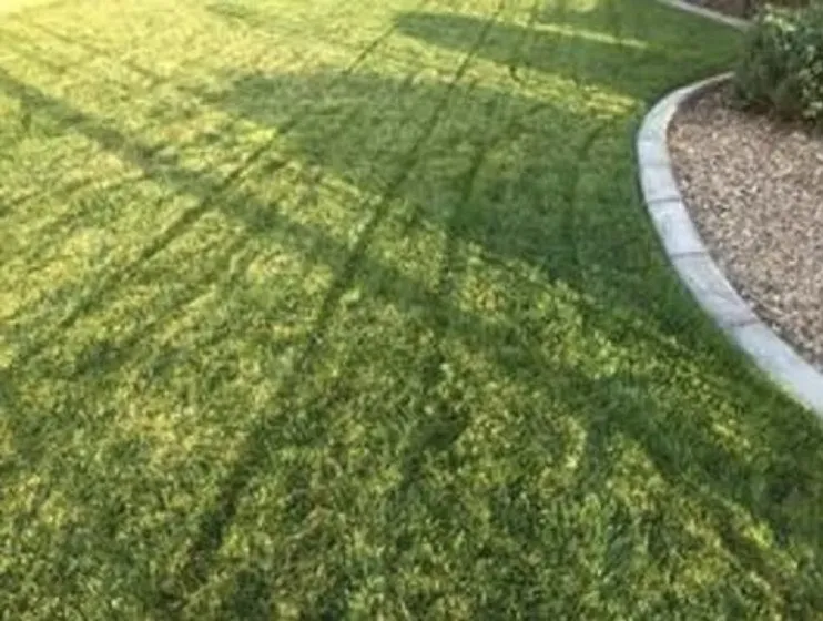 Trusted yard cleanup service in Hayden, AL - Pinnacle Lawn and Landscape