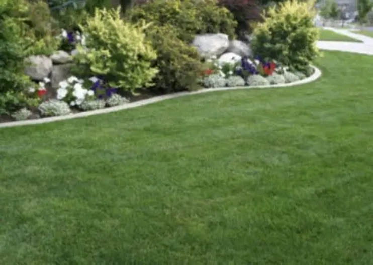 Professional yard maintenance in Hayden, AL - Pinnacle Lawn and Landscape