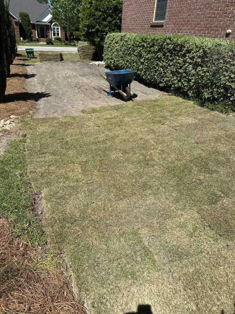 Top-rated lawn mowing service experts serving Lexington, SC - Pinnacle Lawn Care