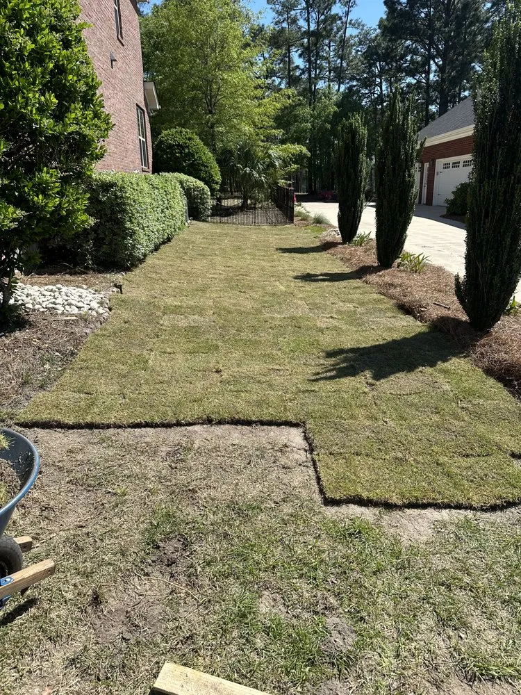 Trusted lawn care service for year-round maintenance in Lexington, SC by Pinnacle Lawn Care