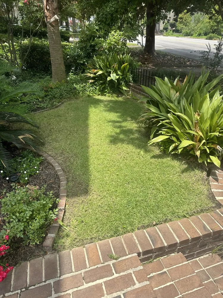 Affordable yard maintenance for beautiful yards in Lexington, SC by Pinnacle Lawn Care