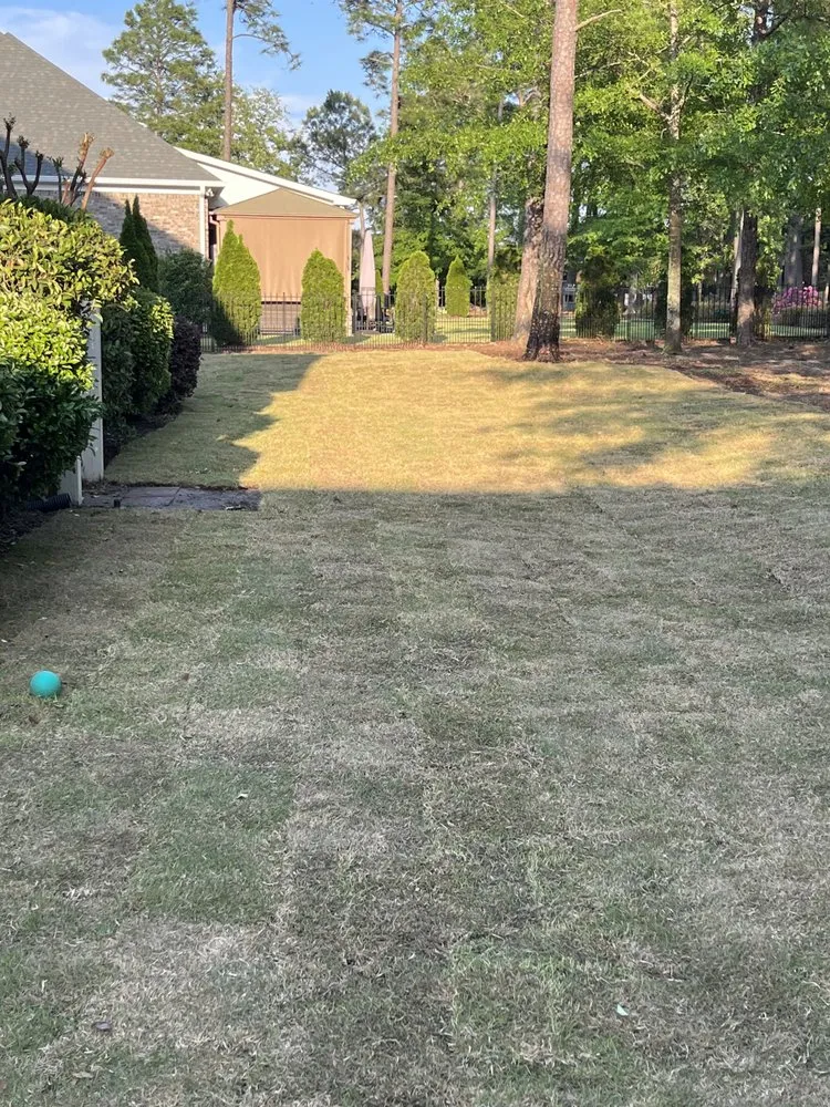 Reliable landscape installation experts serving Lexington, SC - Pinnacle Lawn Care
