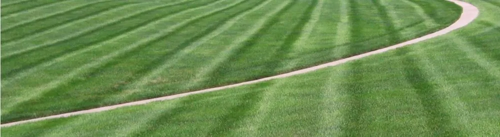 Trusted landscaping services in Stanley, KS by Pinnacle Lawn Care