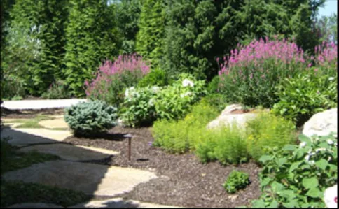 Local landscaping services in Stanley, KS by Pinnacle Lawn Care