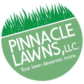 Custom outdoor landscaping with custom design in Rogers, AR by Pinnacle Lawns