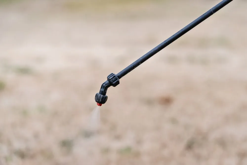 Custom lawn care service for outdoor upgrades in Rogers, AR by Pinnacle Lawns