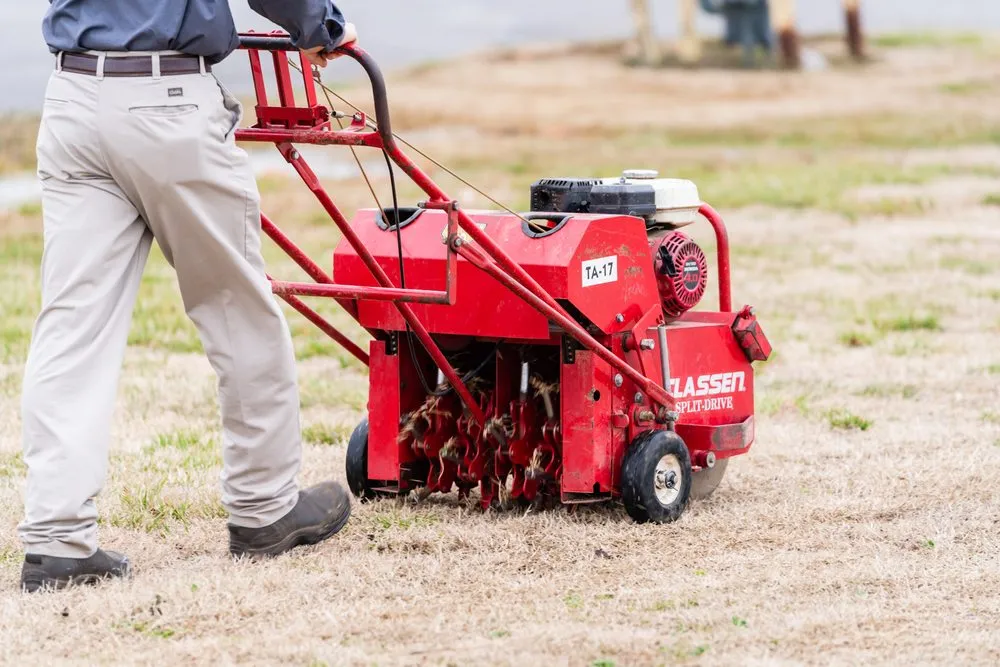 Affordable yard cleanup service in Rogers, AR - Pinnacle Lawns