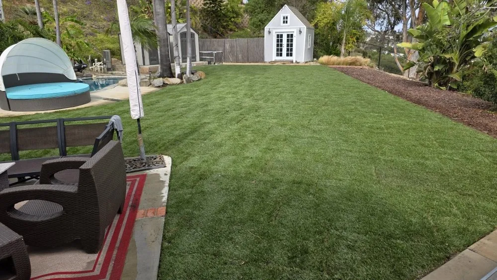 Local yard cleanup service in Valley Center, CA - Pinnacle Point Builders