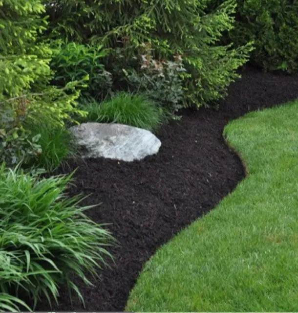 Local yard cleanup service experts serving Atglen, PA - Pinnacle Services