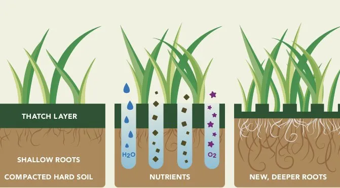 Local yard cleanup service for outdoor upgrades across Atglen, PA - Pinnacle Services