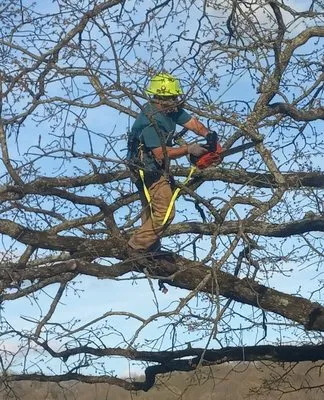 Pinner Landscaping And Tree Care