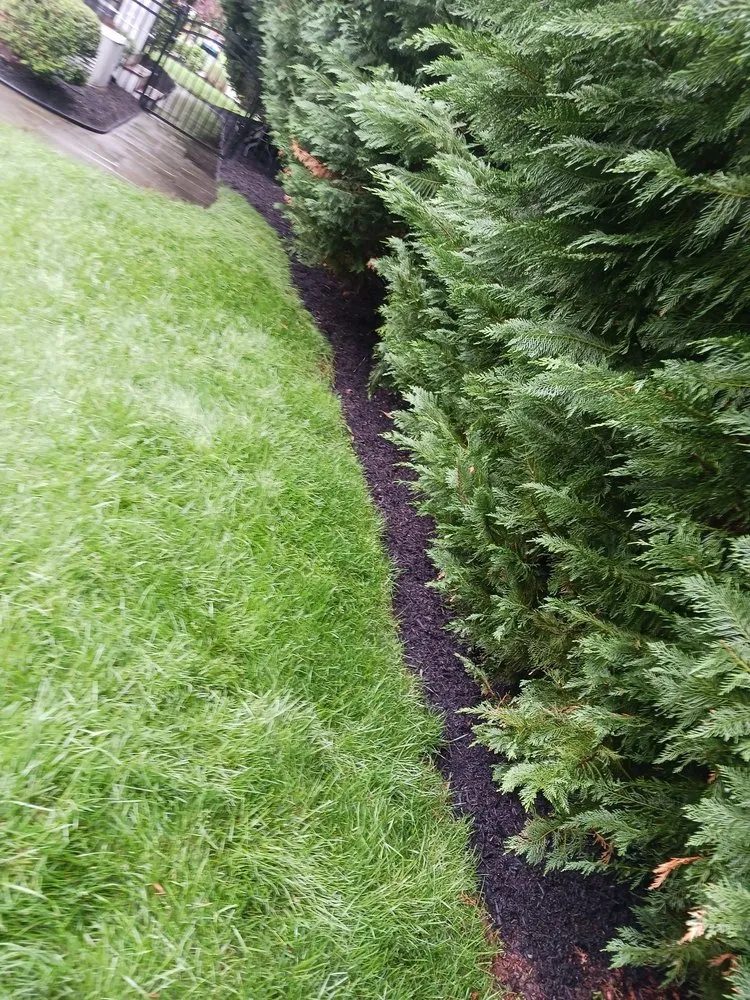 Reliable yard maintenance for outdoor upgrades in East Windsor, NJ by Pinney Landscaping