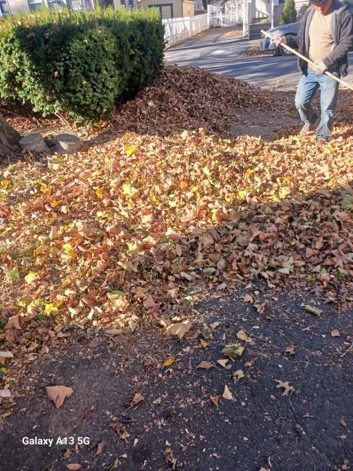 Expert lawn care service in East Windsor, NJ - Pinney Landscaping