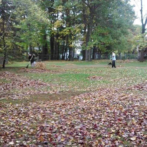 Local yard cleanup service experts serving Waterbury, CT - Pino Handy Service