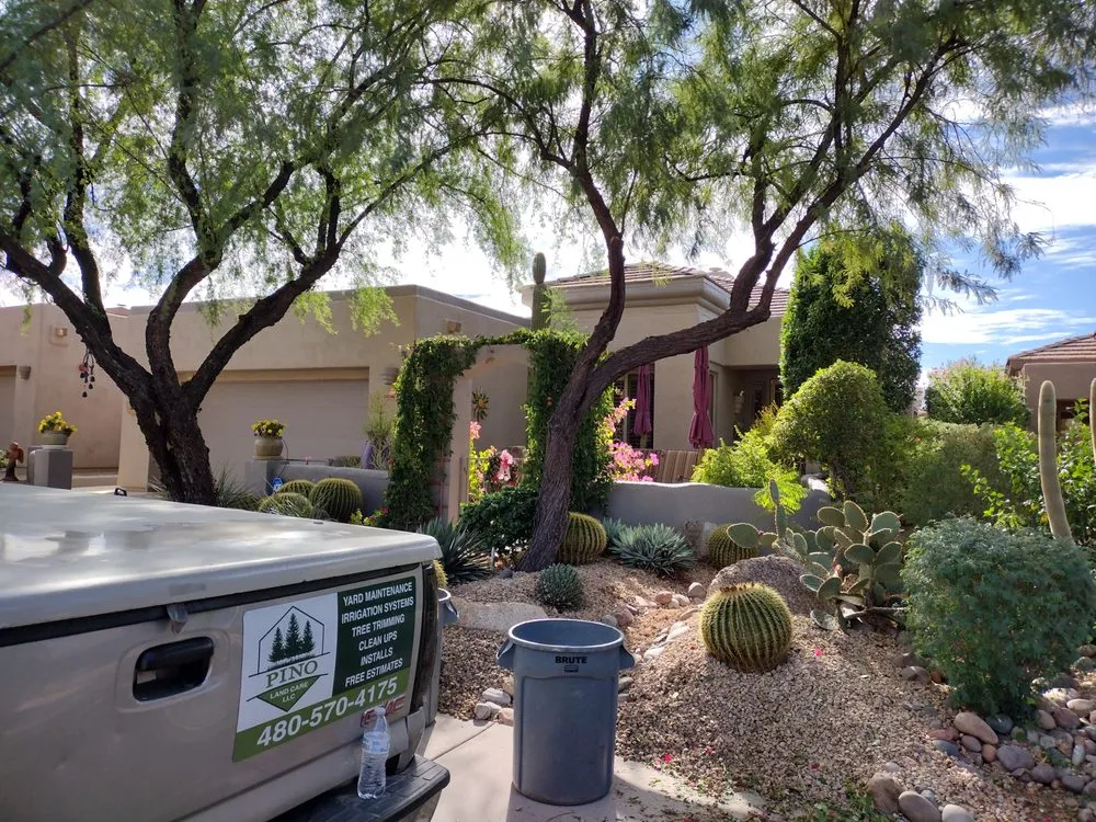Top-rated landscape design experts serving San Tan Valley, AZ - Pino Land Care