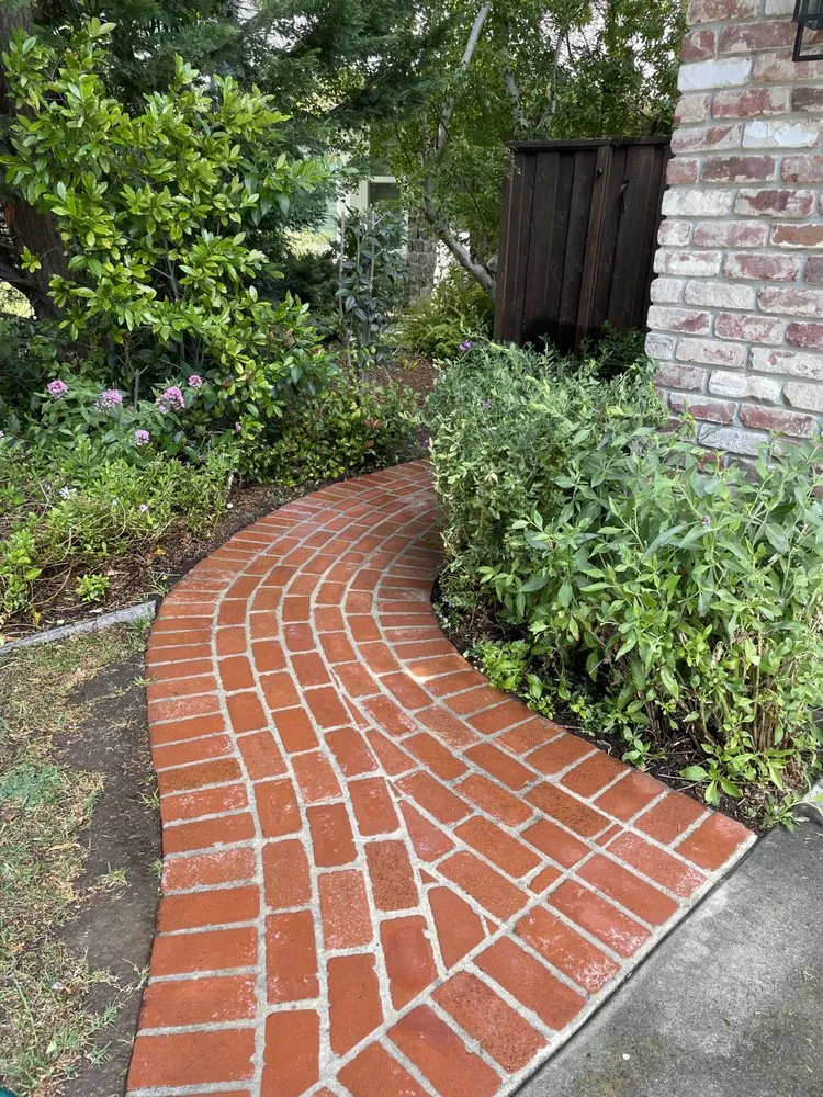 Trusted yard maintenance in East Palo Alto, CA by Pinon Landscape