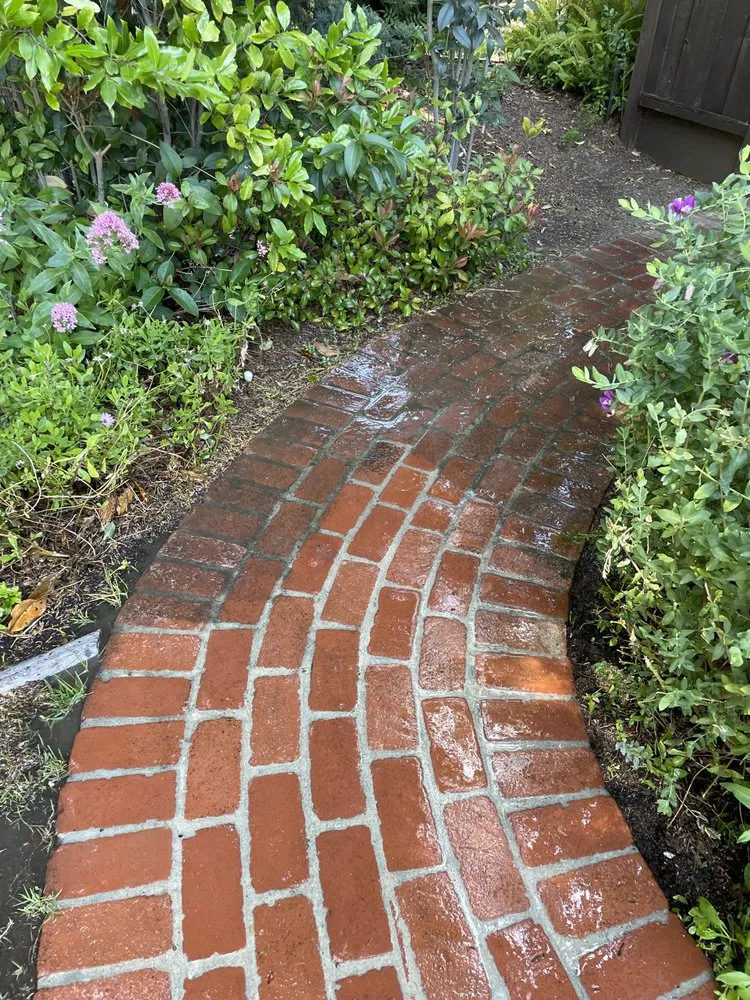 Trusted lawn mowing service in East Palo Alto, CA by Pinon Landscape