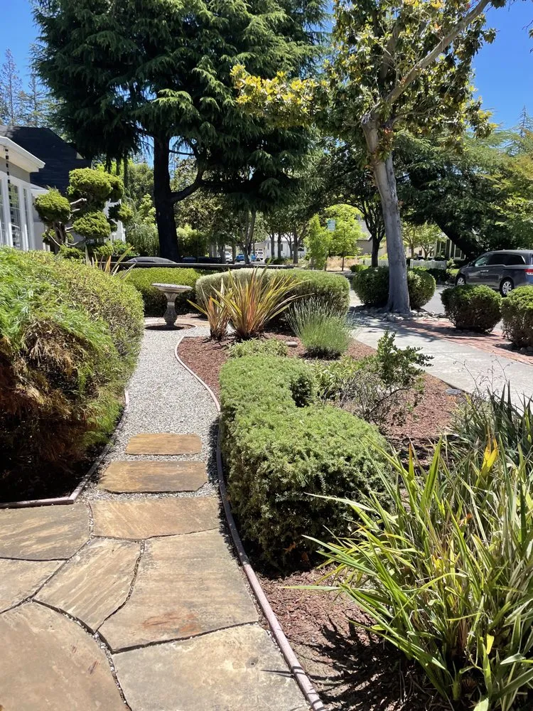 Expert lawn care service experts serving East Palo Alto, CA - Pinon Landscape