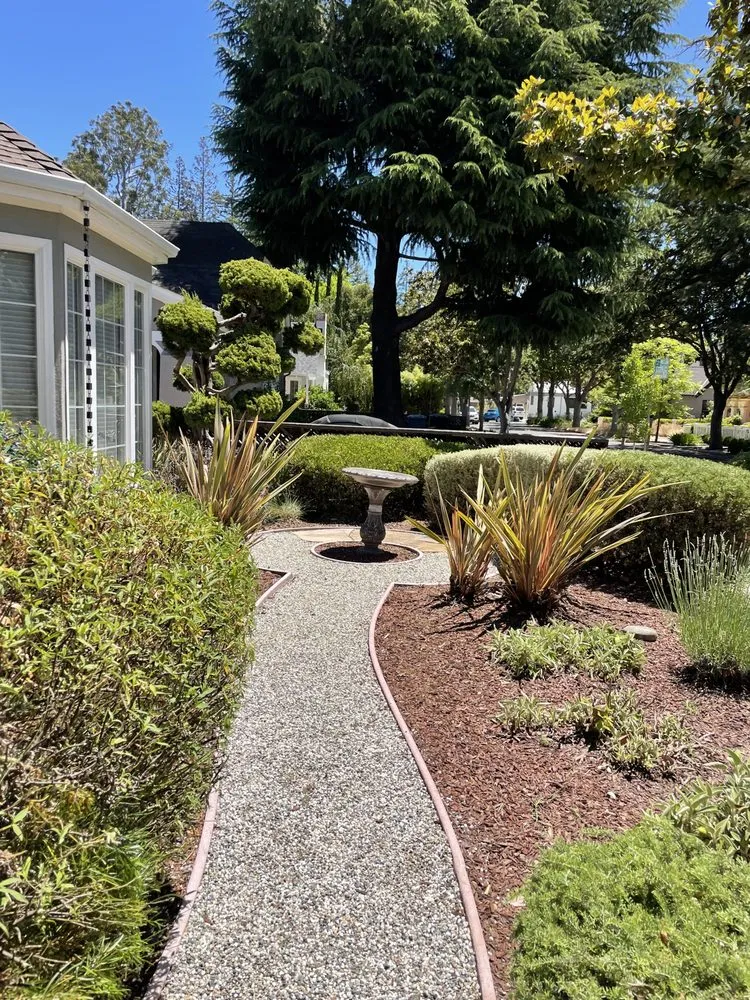 Expert landscaping services experts serving East Palo Alto, CA - Pinon Landscape