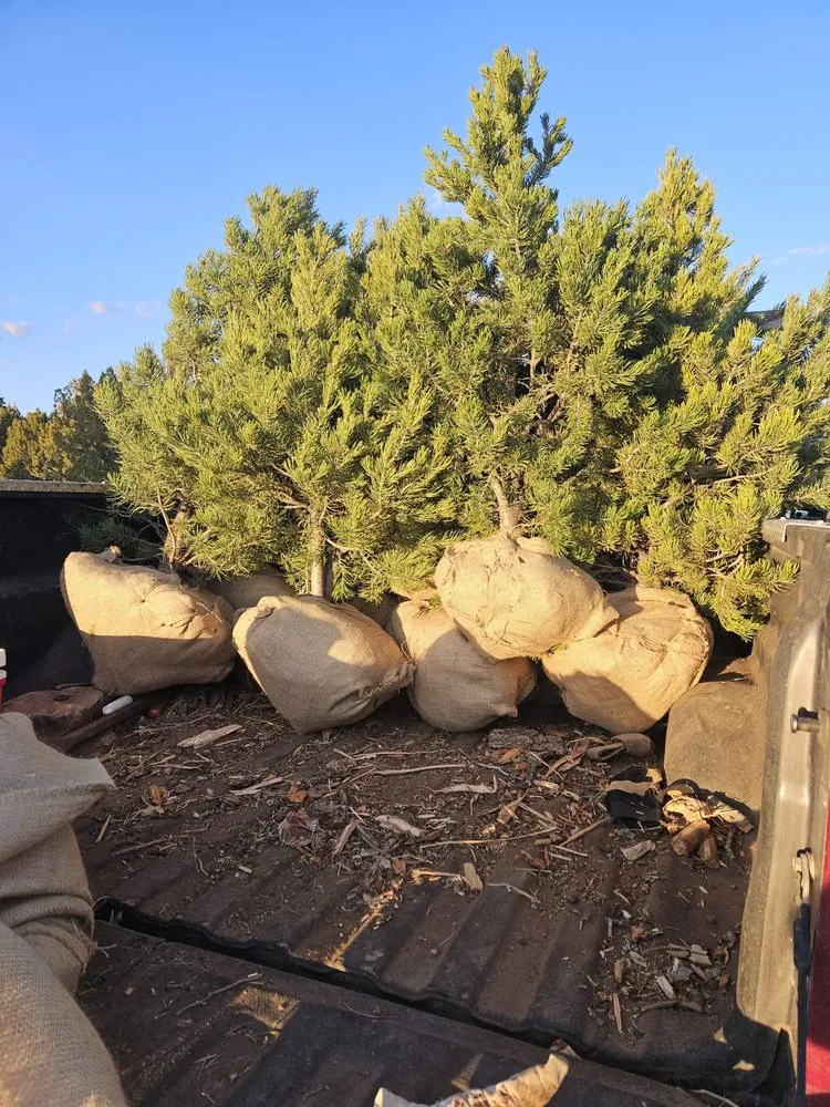 Top-rated landscape installation for beautiful yards across Las Vegas, NM - Pinos Firewood Landscaping
