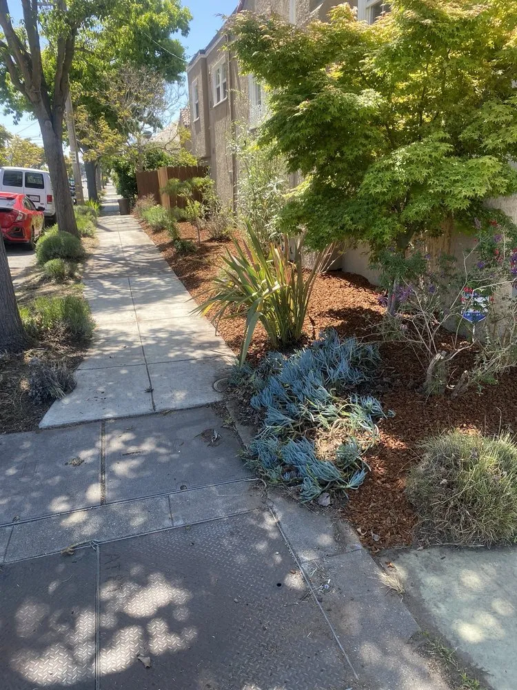 Affordable landscape design for homes across Oakland, CA - Pinos Gardening Services