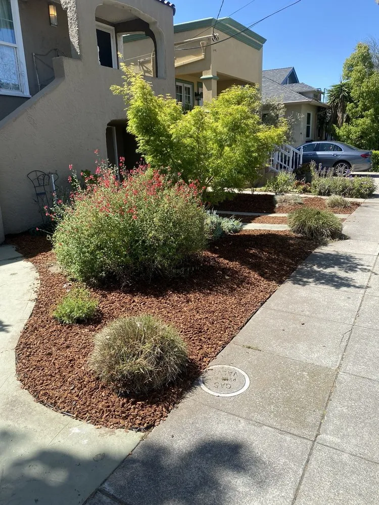 Professional outdoor landscaping for year-round maintenance in Oakland, CA by Pinos Gardening Services