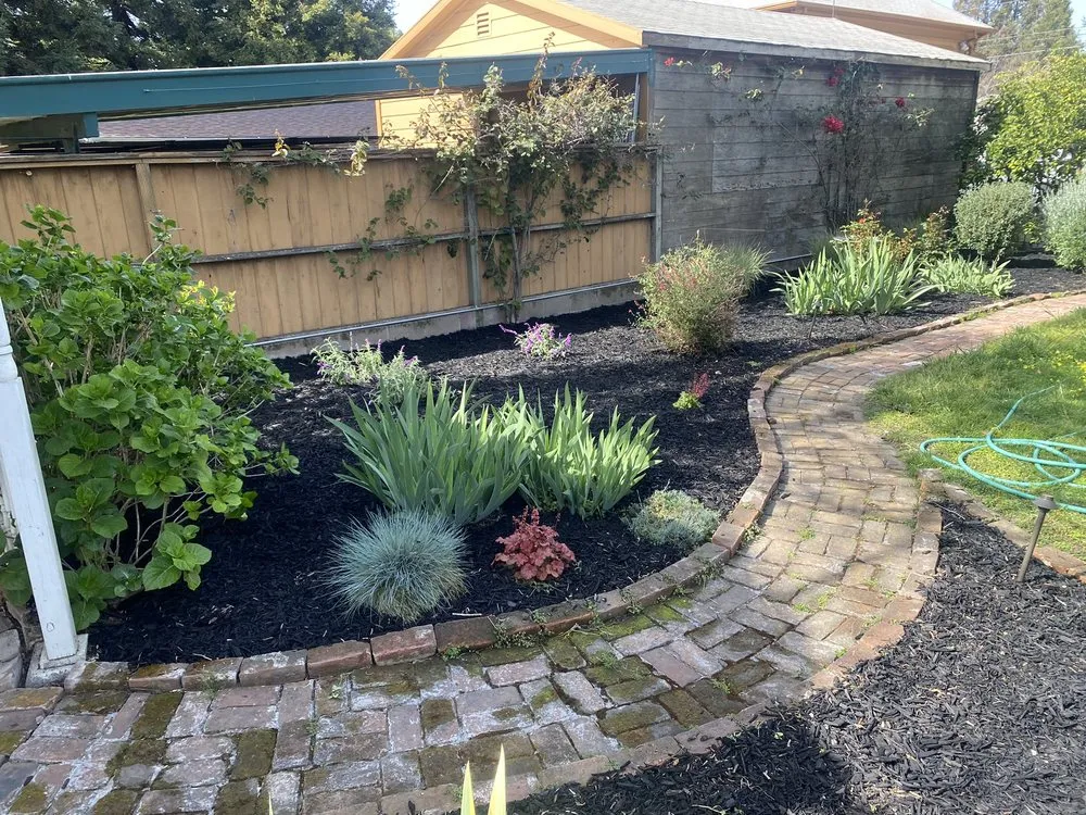 Professional outdoor landscaping experts serving Oakland, CA - Pinos Gardening Services