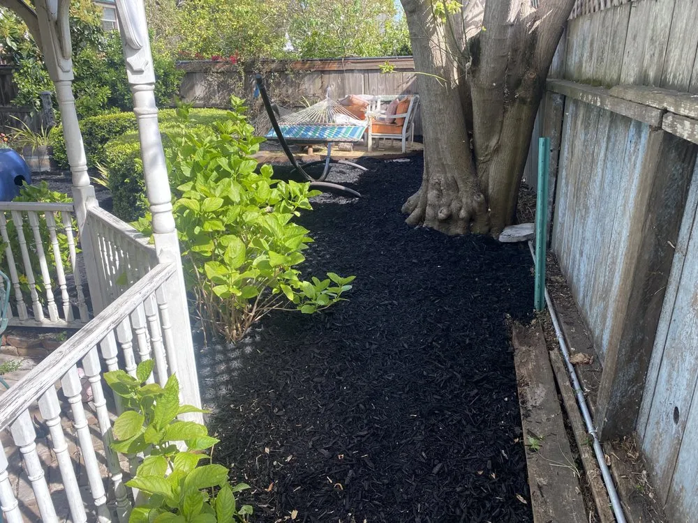 Top-rated yard cleanup service for residential properties in Oakland, CA by Pinos Gardening Services