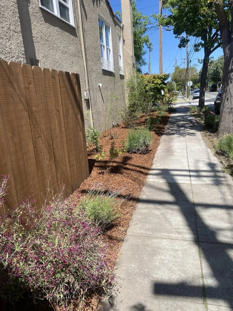 Top-rated landscape installation experts serving Oakland, CA - Pinos Gardening Services