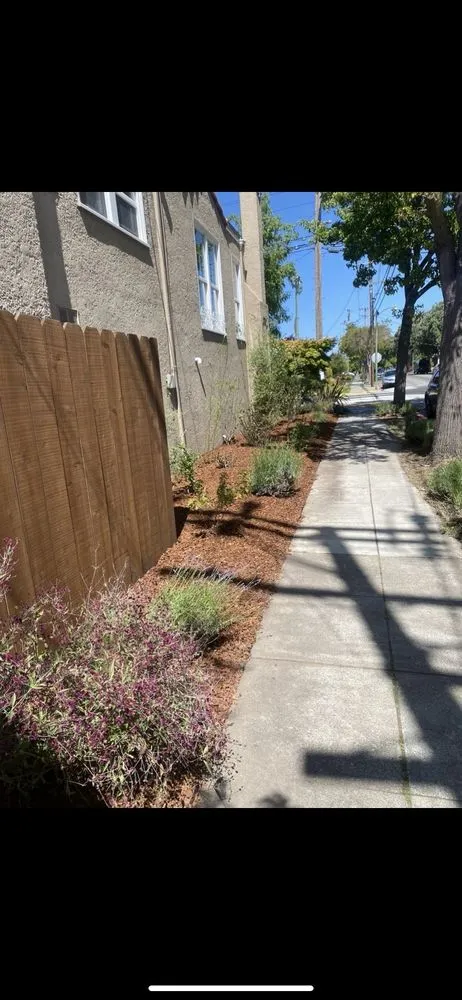 Professional yard maintenance experts serving Oakland, CA - Pinos Gardening Services